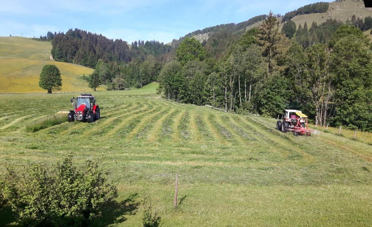 Ferienwohnungen Foidlhof 霍赫菲尔岑 外观 照片